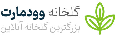 فروشگاه اینترنتی